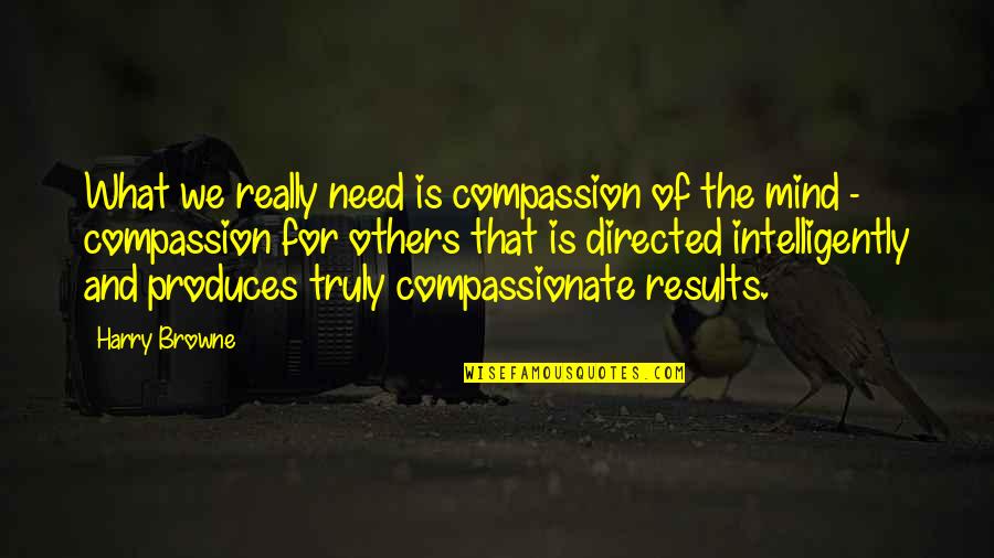 What We Need Quotes By Harry Browne: What we really need is compassion of the