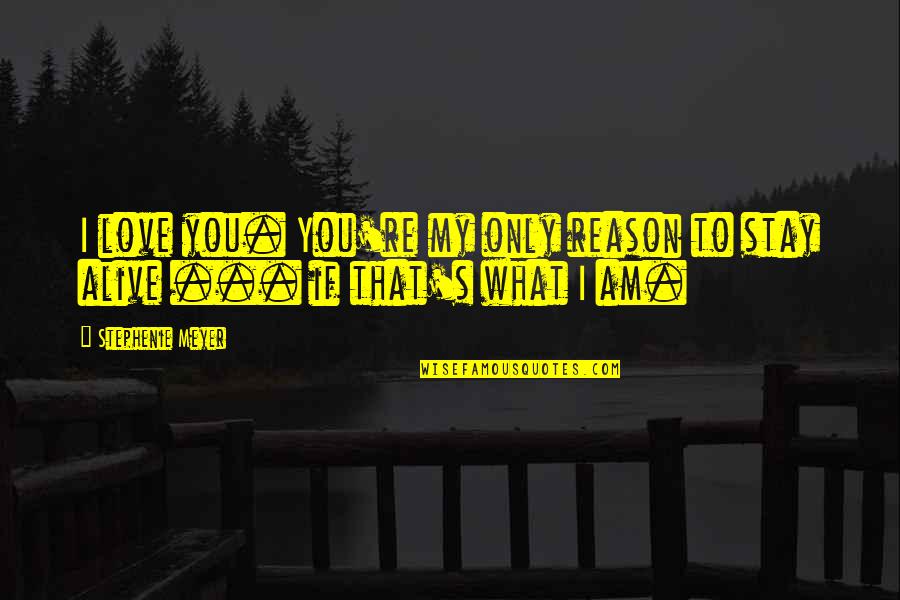 What We Stay Alive For Quotes By Stephenie Meyer: I love you. You're my only reason to What We Stay Alive For Quotes By Stephenie Meyer: I love you. You're my only reason to