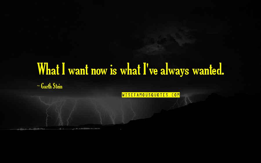 What We Want And Its Not Always Best Quotes By Garth Stein: What I want now is what I've always What We Want And Its Not Always Best Quotes By Garth Stein: What I want now is what I've always