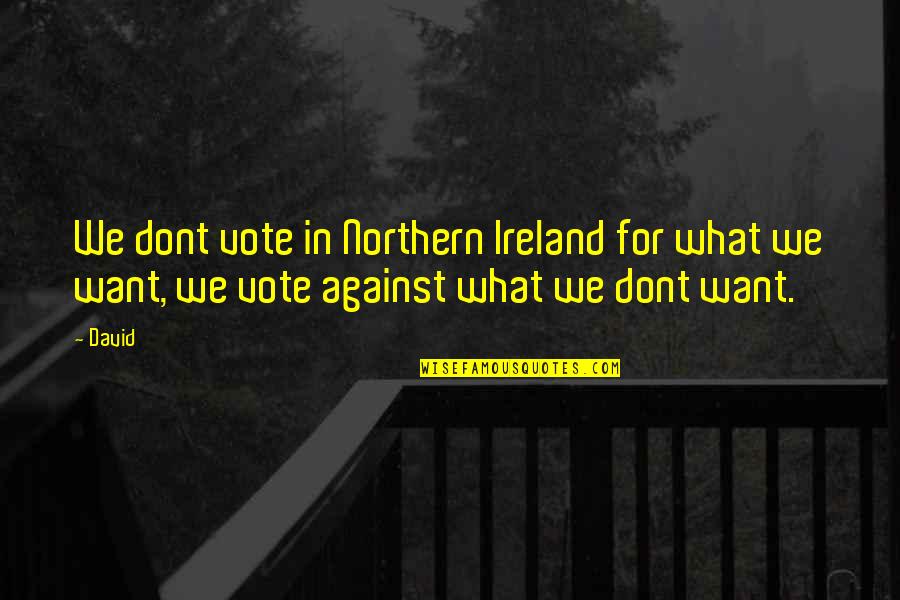 What We Want Quotes By David: We dont vote in Northern Ireland for what