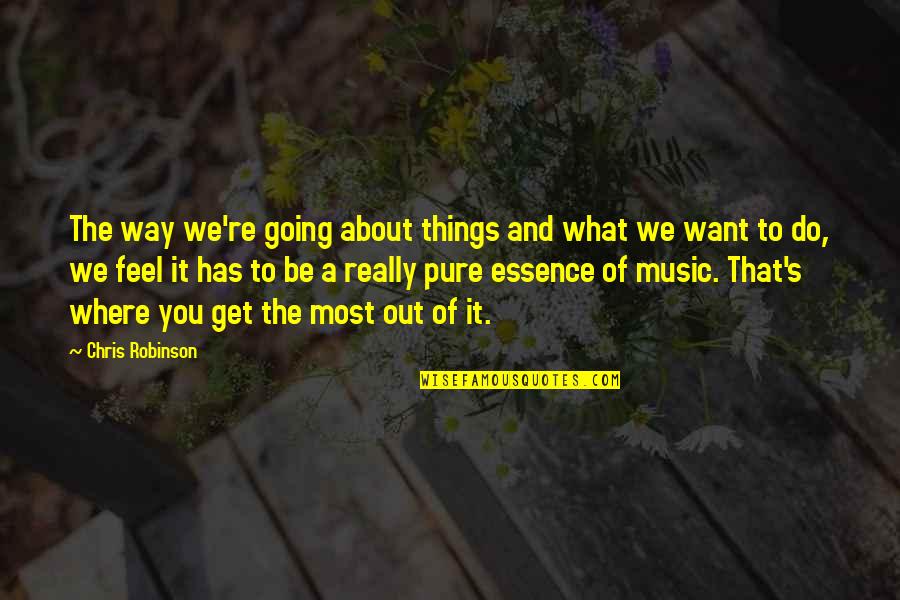 What We Want The Most Quotes By Chris Robinson: The way we're going about things and what