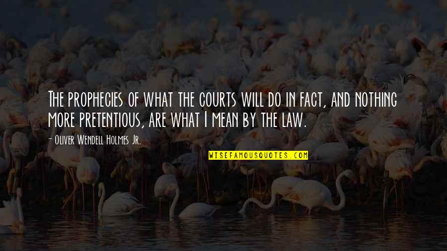 What Will I Do Quotes By Oliver Wendell Holmes Jr.: The prophecies of what the courts will do