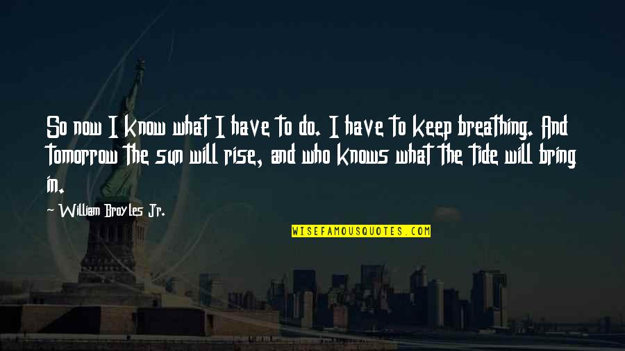 What Will I Do Quotes By William Broyles Jr.: So now I know what I have to