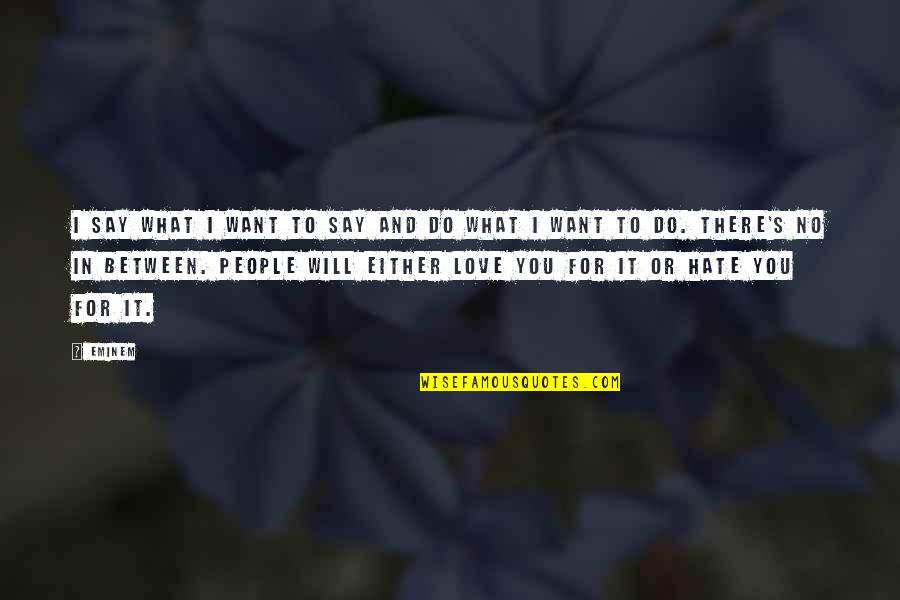 What Will You Do For Love Quotes By Eminem: I say what I want to say and What Will You Do For Love Quotes By Eminem: I say what I want to say and
