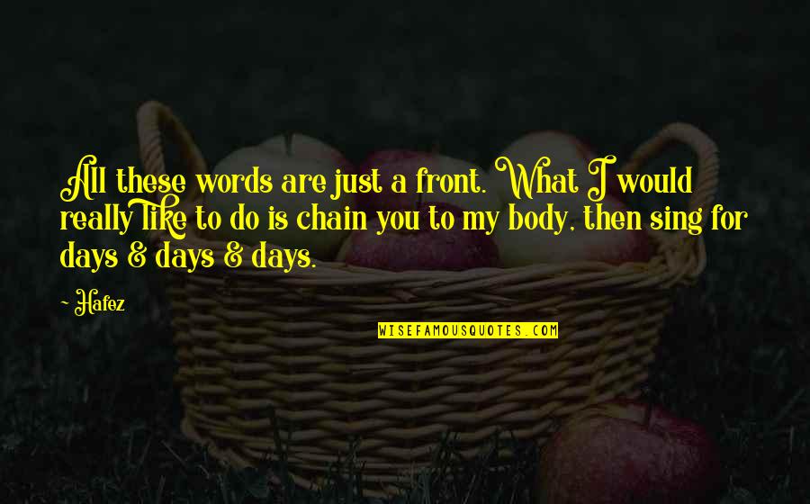 What Would I Do Without You Love Quotes By Hafez: All these words are just a front. What What Would I Do Without You Love Quotes By Hafez: All these words are just a front. What
