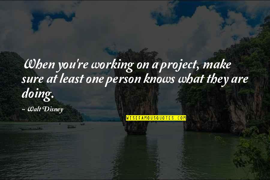 What You Are Doing Quotes By Walt Disney: When you're working on a project, make sure