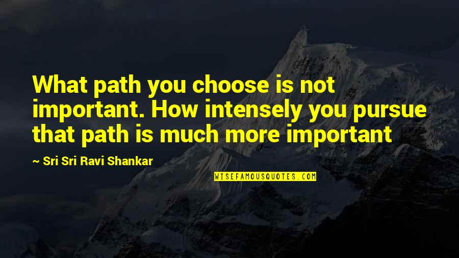 What You Choose Quotes By Sri Sri Ravi Shankar: What path you choose is not important. How