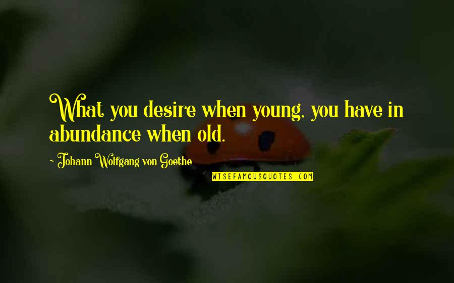 What You Desire Quotes By Johann Wolfgang Von Goethe: What you desire when young, you have in