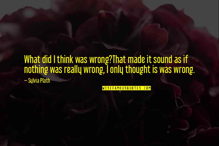 What You Did Wrong Quotes By Sylvia Plath: What did I think was wrong?That made it