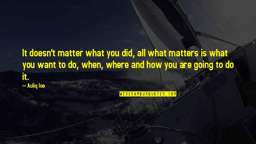 What You Do Matters Quotes By Auliq Ice: It doesn't matter what you did, all what