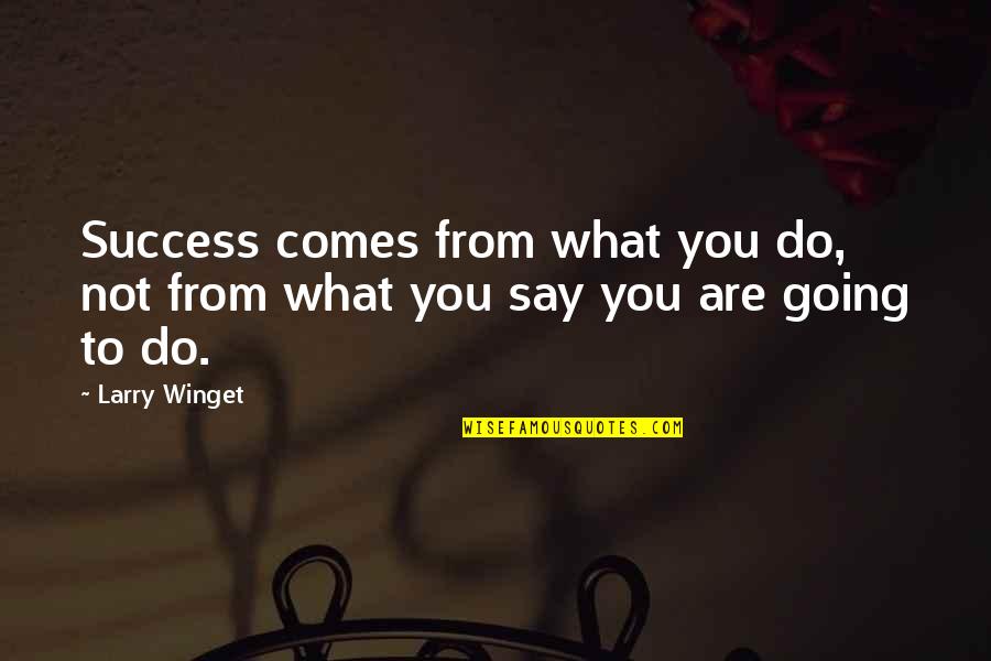 What You Do Not What You Say Quotes By Larry Winget: Success comes from what you do, not from