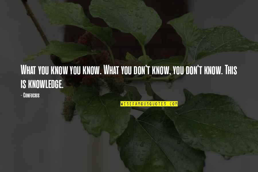 What You Don't Know Quotes By Confucius: What you know you know. What you don't