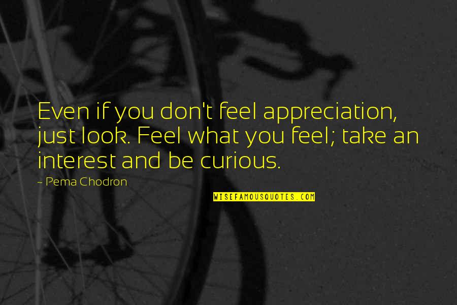 What You Feel Quotes By Pema Chodron: Even if you don't feel appreciation, just look.