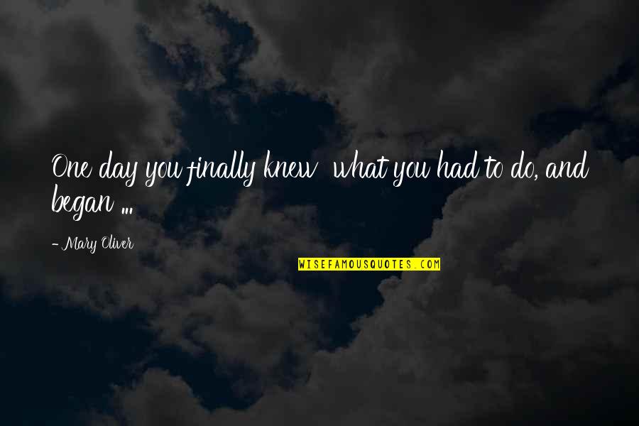 What You Had Quotes By Mary Oliver: One day you finally knew what you had