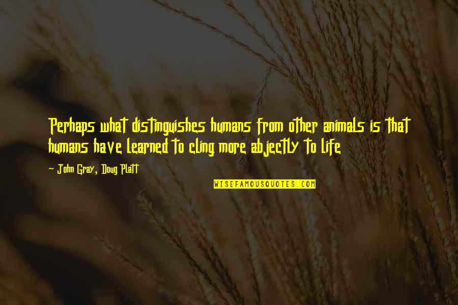 What You Have Learned In Life Quotes By John Gray, Doug Platt: Perhaps what distinguishes humans from other animals is What You Have Learned In Life Quotes By John Gray, Doug Platt: Perhaps what distinguishes humans from other animals is