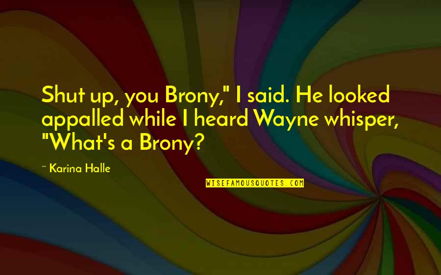 What You Heard Quotes By Karina Halle: Shut up, you Brony," I said. He looked