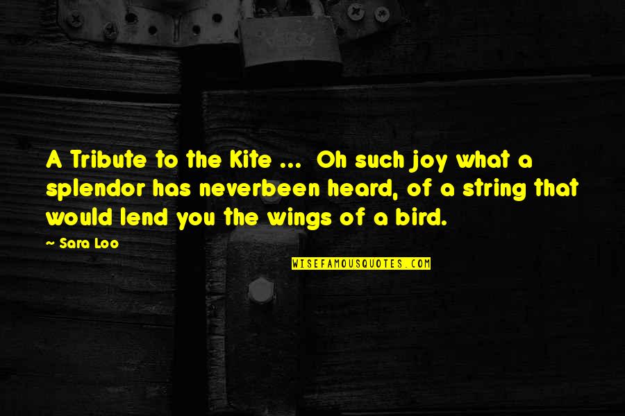 What You Heard Quotes By Sara Loo: A Tribute to the Kite ... Oh such