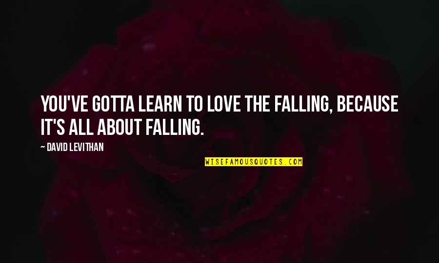 What You Learn In Life Quotes By David Levithan: You've gotta learn to love the falling, because