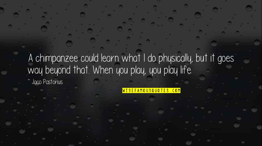 What You Learn In Life Quotes By Jaco Pastorius: A chimpanzee could learn what I do physically,