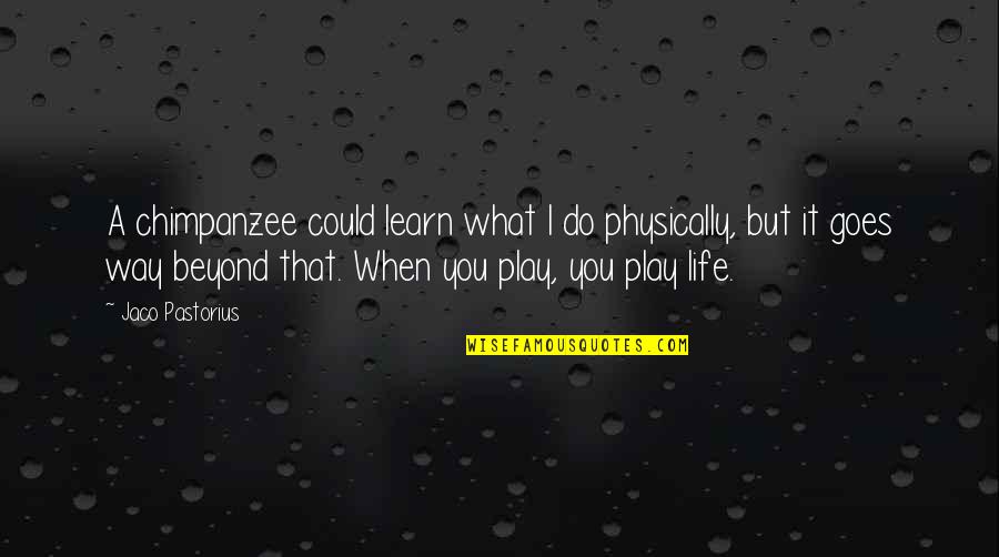 What You Learn In Life Quotes By Jaco Pastorius: A chimpanzee could learn what I do physically, What You Learn In Life Quotes By Jaco Pastorius: A chimpanzee could learn what I do physically,