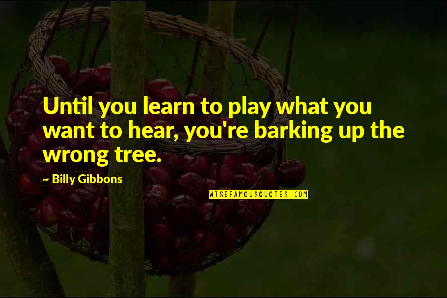 What You Learn Quotes By Billy Gibbons: Until you learn to play what you want