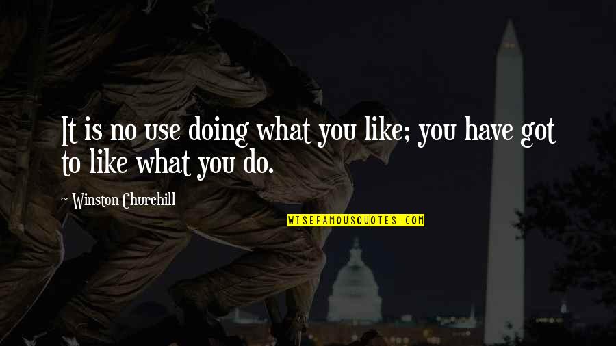 What You Like To Do Quotes By Winston Churchill: It is no use doing what you like;