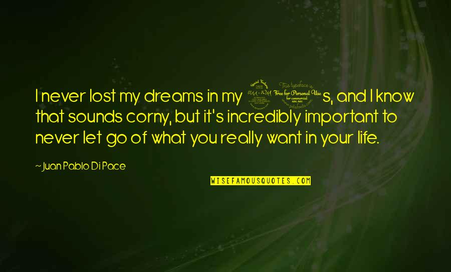 What You Lost Quotes By Juan Pablo Di Pace: I never lost my dreams in my 20s,