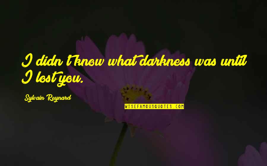 What You Lost Quotes By Sylvain Reynard: I didn't know what darkness was until I