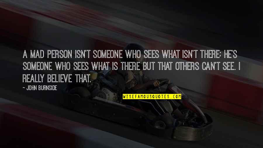 What You Mad For Quotes By John Burnside: A mad person isn't someone who sees what What You Mad For Quotes By John Burnside: A mad person isn't someone who sees what