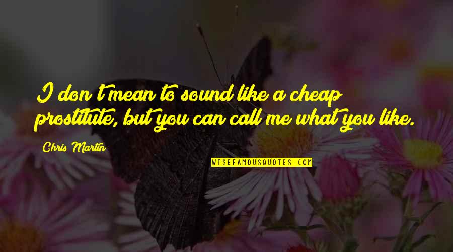 What You Mean To Me Quotes By Chris Martin: I don't mean to sound like a cheap