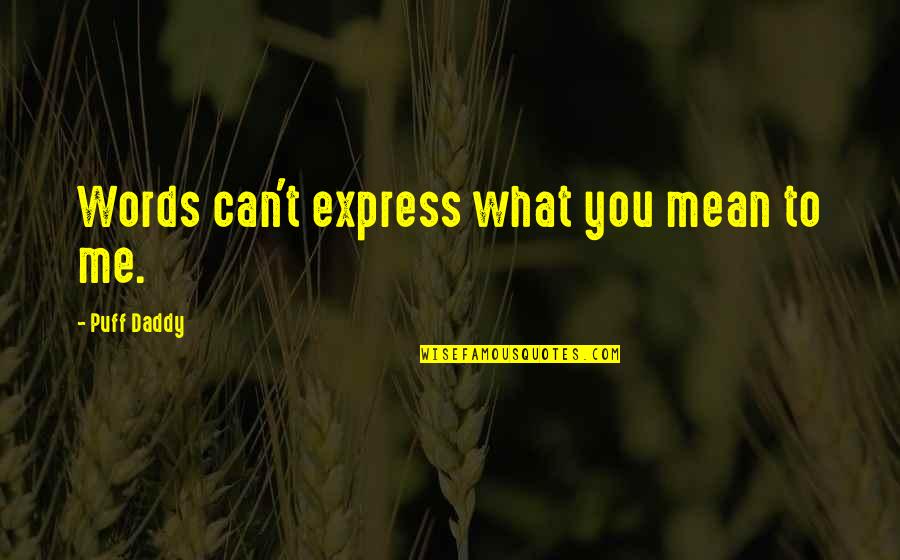 What You Mean To Me Quotes By Puff Daddy: Words can't express what you mean to me.