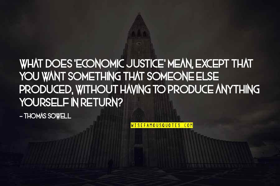 What You Mean To Someone Quotes By Thomas Sowell: What does 'economic justice' mean, except that you