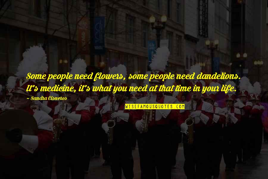 What You Need In Life Quotes By Sandra Cisneros: Some people need flowers, some people need dandelions.