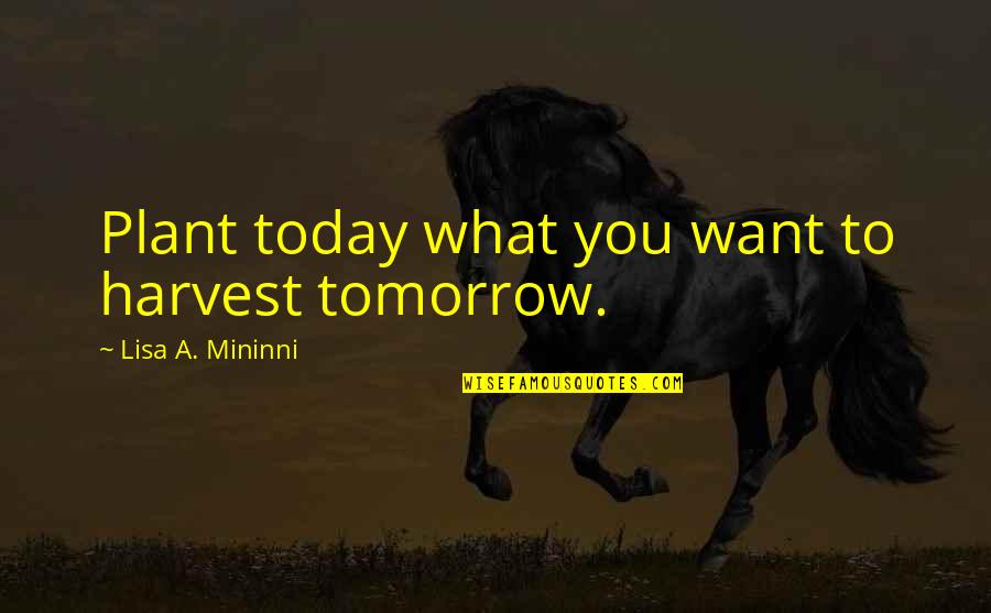What You Plant Today Quotes By Lisa A. Mininni: Plant today what you want to harvest tomorrow.