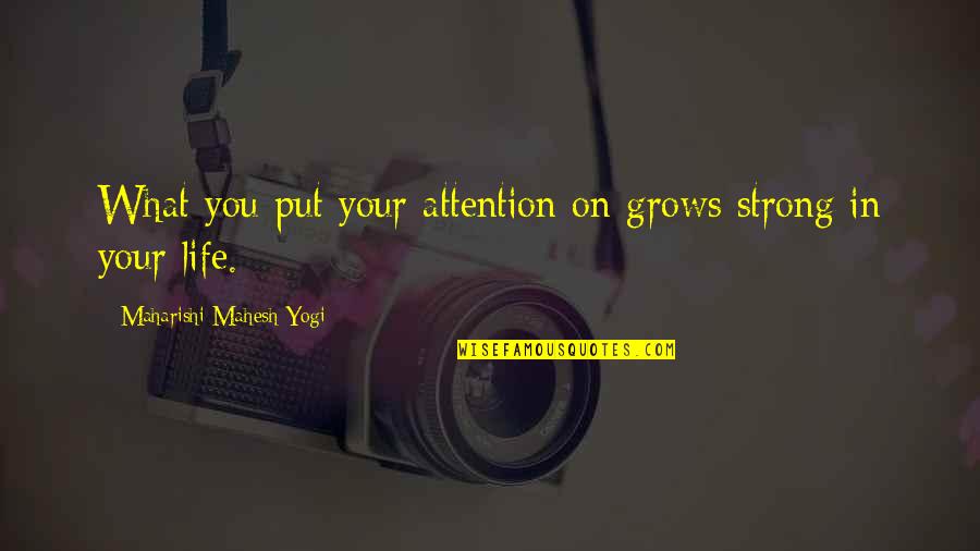 What You Put In Quotes By Maharishi Mahesh Yogi: What you put your attention on grows strong