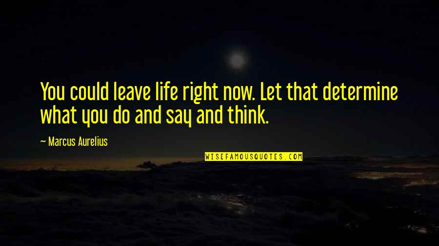 What You Say And What You Do Quotes By Marcus Aurelius: You could leave life right now. Let that
