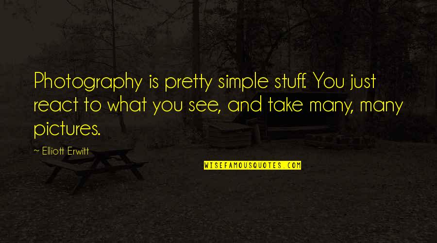 What You See Quotes By Elliott Erwitt: Photography is pretty simple stuff. You just react