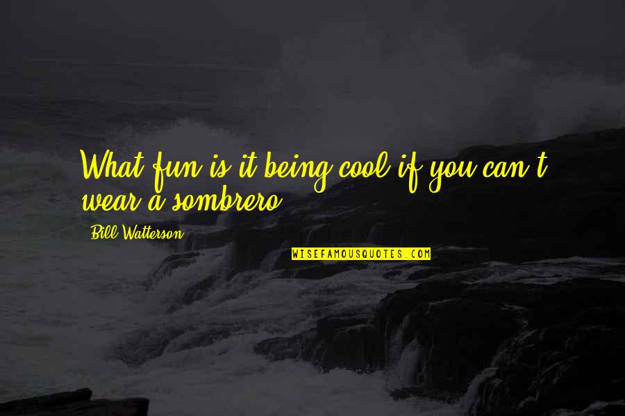 What You Wear Quotes By Bill Watterson: What fun is it being cool if you What You Wear Quotes By Bill Watterson: What fun is it being cool if you