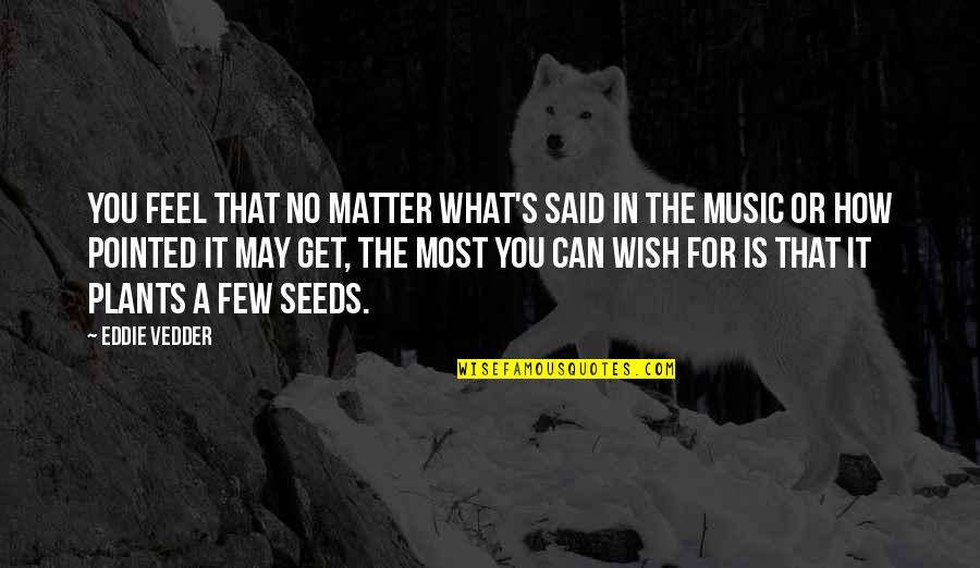 What You Wish For Quotes By Eddie Vedder: You feel that no matter what's said in