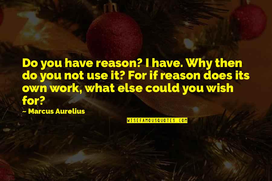 What You Wish For Quotes By Marcus Aurelius: Do you have reason? I have. Why then