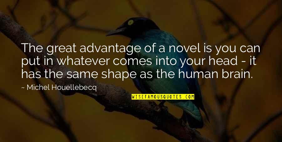 Whatever Comes Quotes By Michel Houellebecq: The great advantage of a novel is you Whatever Comes Quotes By Michel Houellebecq: The great advantage of a novel is you