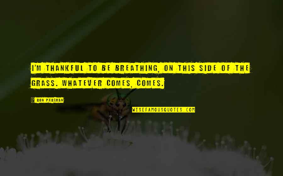 Whatever Comes Quotes By Ron Perlman: I'm thankful to be breathing, on this side