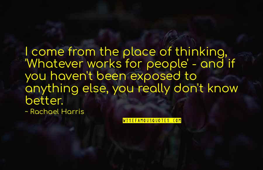 Whatever It Works Quotes By Rachael Harris: I come from the place of thinking, 'Whatever
