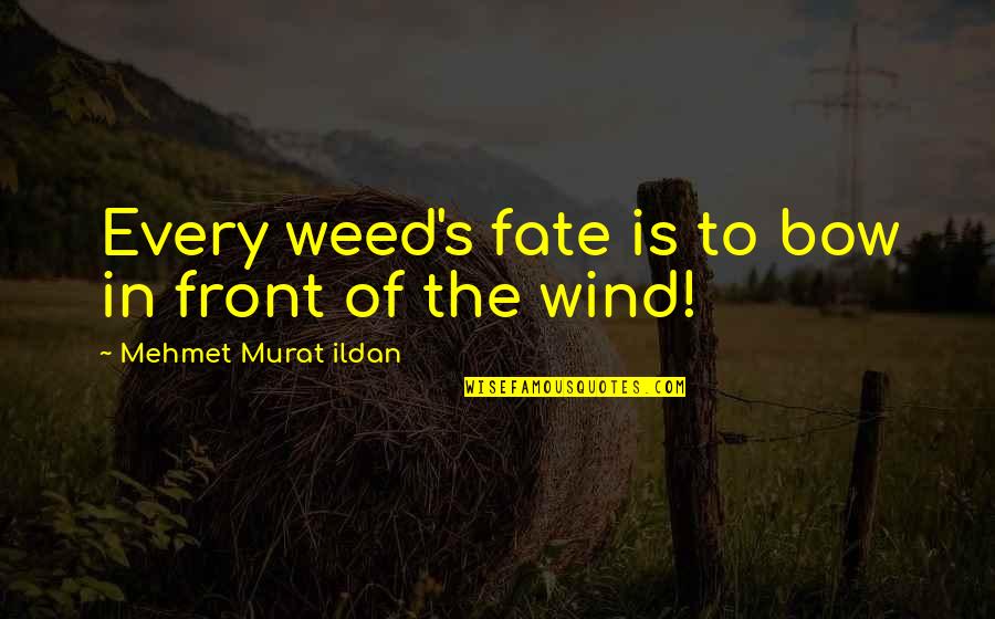 Whatever Life Brings Quotes By Mehmet Murat Ildan: Every weed's fate is to bow in front