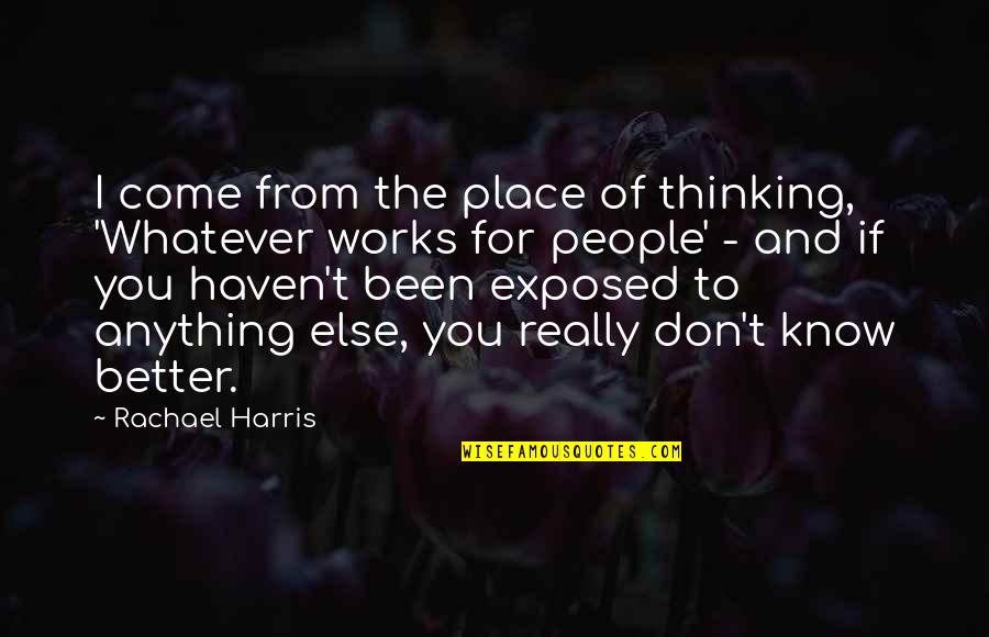 Whatever Works Quotes By Rachael Harris: I come from the place of thinking, 'Whatever