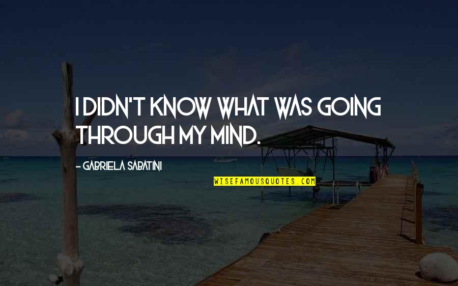 What's Going On In My Mind Quotes By Gabriela Sabatini: I didn't know what was going through my