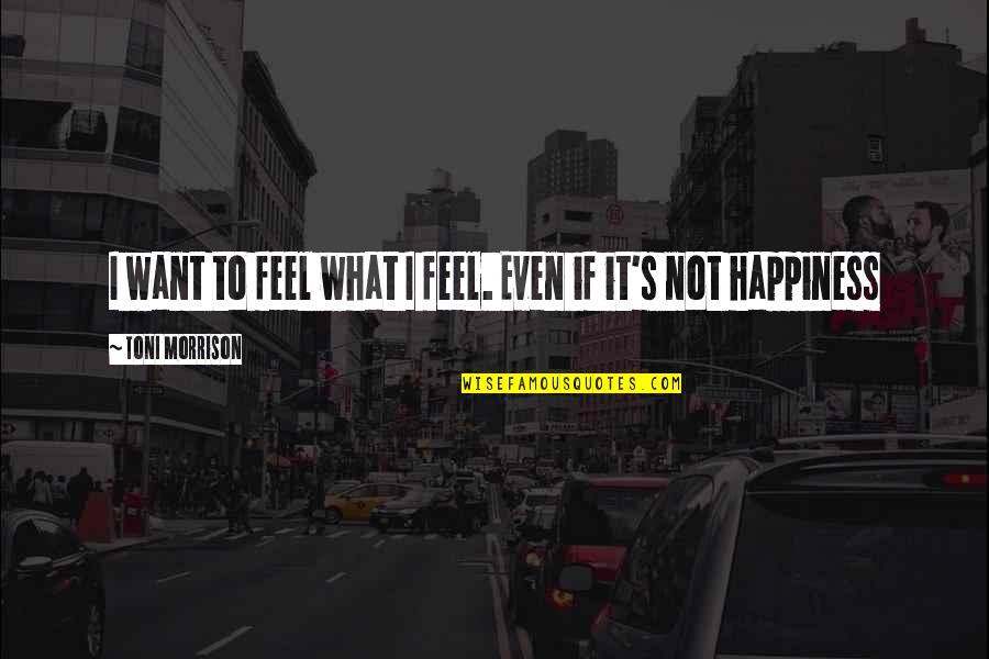 What's Happiness Quotes By Toni Morrison: I want to feel what I feel. Even
