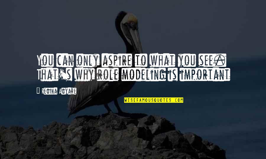 What's Important To You Quotes By Regina Agyare: You can only aspire to what you see.