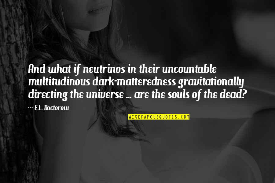 What's In The Dark Quotes By E.L. Doctorow: And what if neutrinos in their uncountable multitudinous