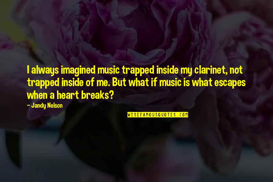 What's Inside The Heart Quotes By Jandy Nelson: I always imagined music trapped inside my clarinet,